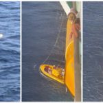 Passeggera di una nave da crociera sopravvive dopo essere caduta dal decimo ponte