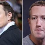 Elon Musk quiere darle una paliza a Zuckerberg y este lo reta: "Te patearé el trasero"