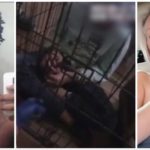 bimbi seviziati genitori arrestati