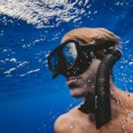 Vespa entra nel boccaglio mentre nuota: punto alla gola