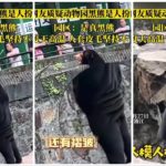 Cina zoo sotto accusa falsi animali