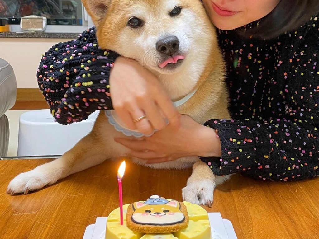 mème de chien Cheems mort