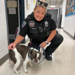 Cane abbandonato in aeroporto perché senza trasportino: la proprietaria non rinuncia alle ferie