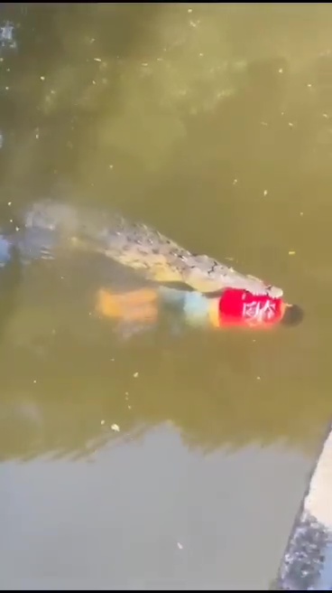 un footballeur tué par un crocodile