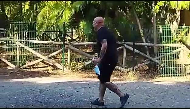 Weiss, der gehörlose Pitbull, wurde in Livorno gefunden, das rührende Treffen mit seinen Besitzern