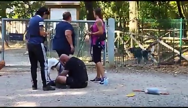 Weiss le pitbull sourd trouvé à Livourne, la rencontre touchante avec ses propriétaires