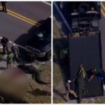 Alligatore in strada con corpo umano tra le fauci: polizia gli spara