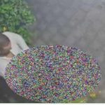 Turista italiano espulso da Bali: atti immorali in pubblico