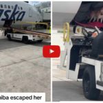 Cane fuggito dal trasportino si presenta al portellone bagagli "ridendo"