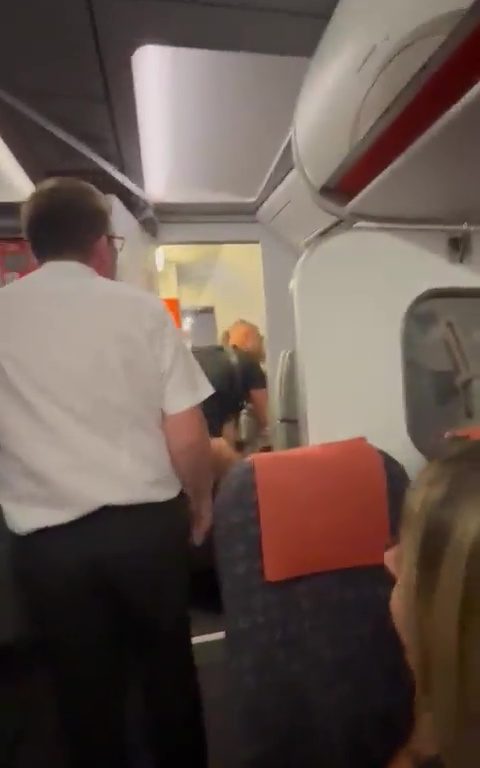 Épanchements dans les toilettes de l'avion, le steward les interrompt : vidéo virale