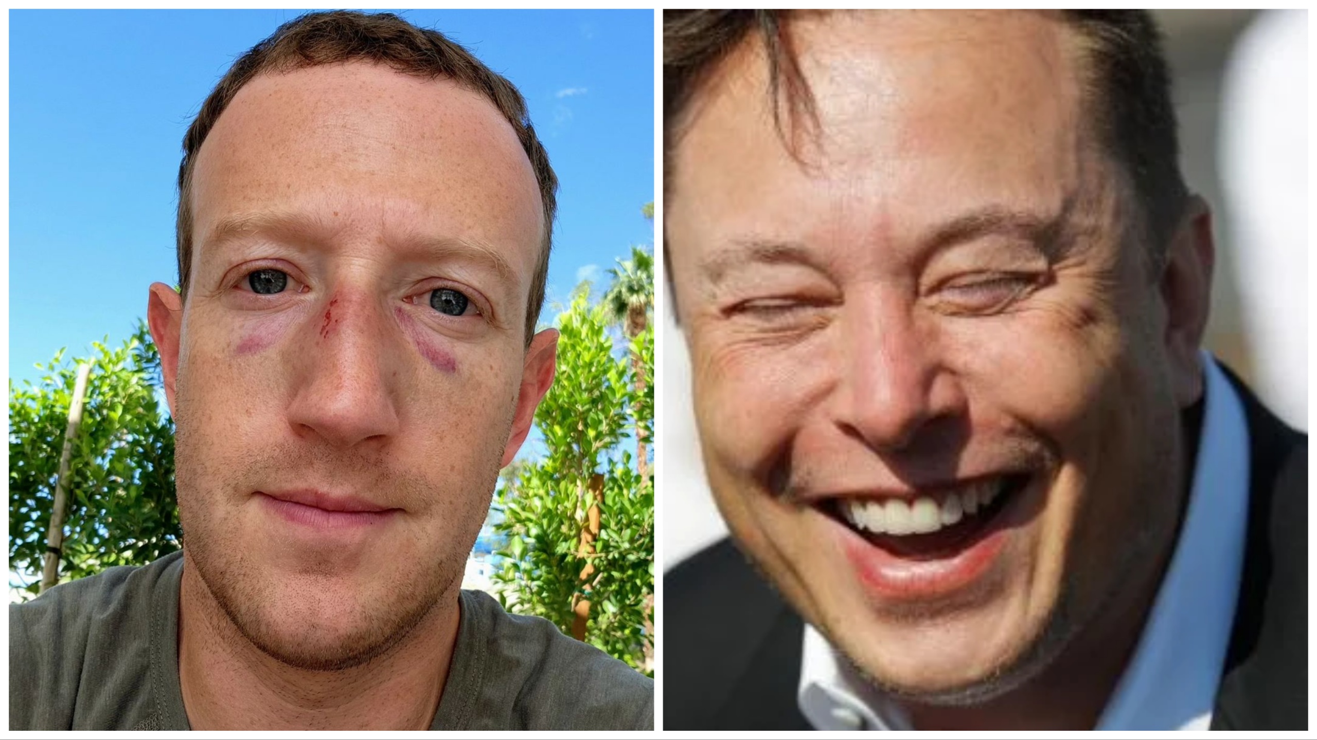 Mark Zuckerberg recibió un puñetazo en la cara