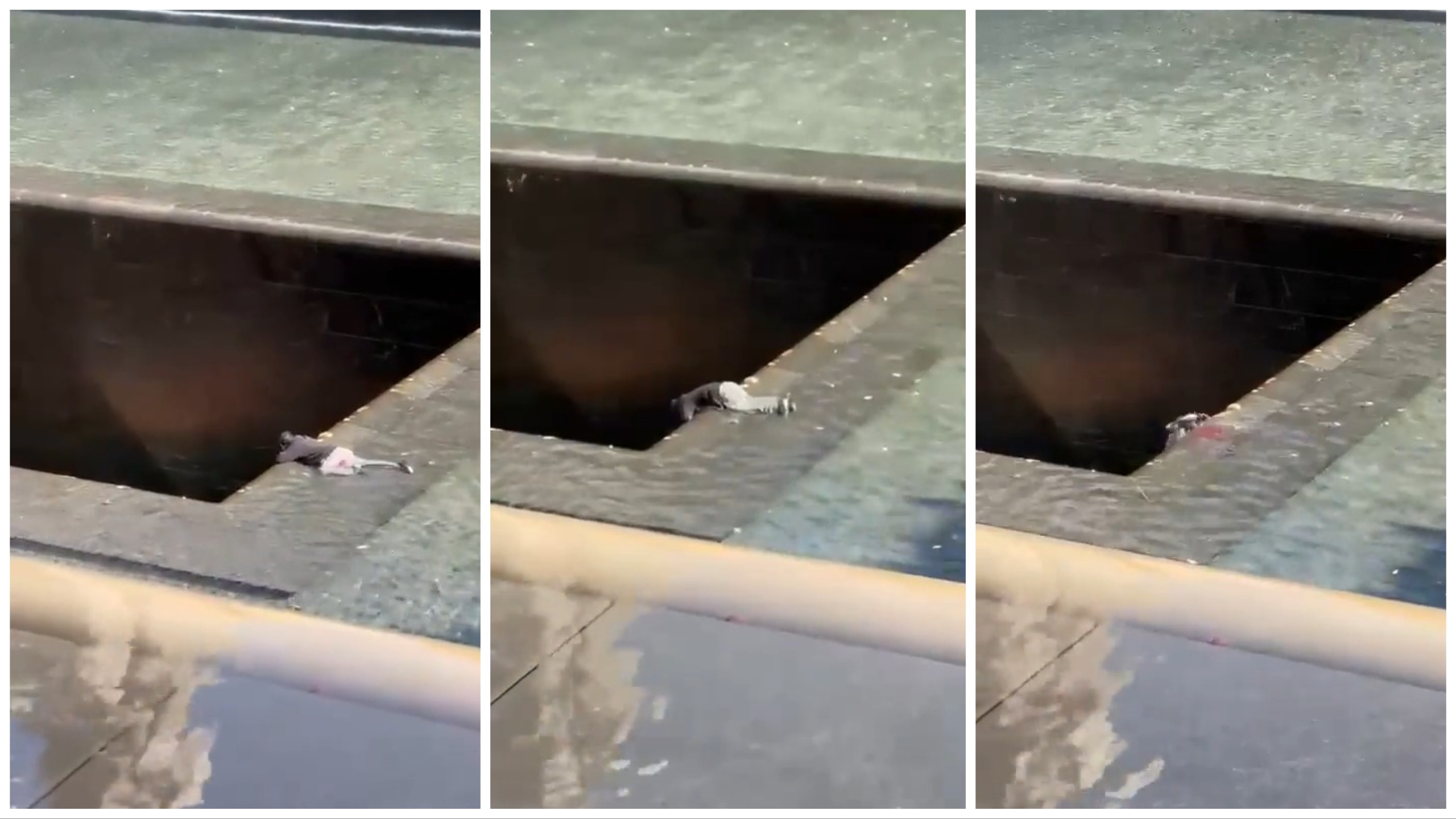 Conmoción en Nueva York, un hombre se arroja al monumento conmemorativo del 11 de septiembre: se salva tras un vuelo de 10 metros