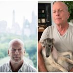 Bruce Willis ha smesso di parlare: la demenza avanza inesorabile