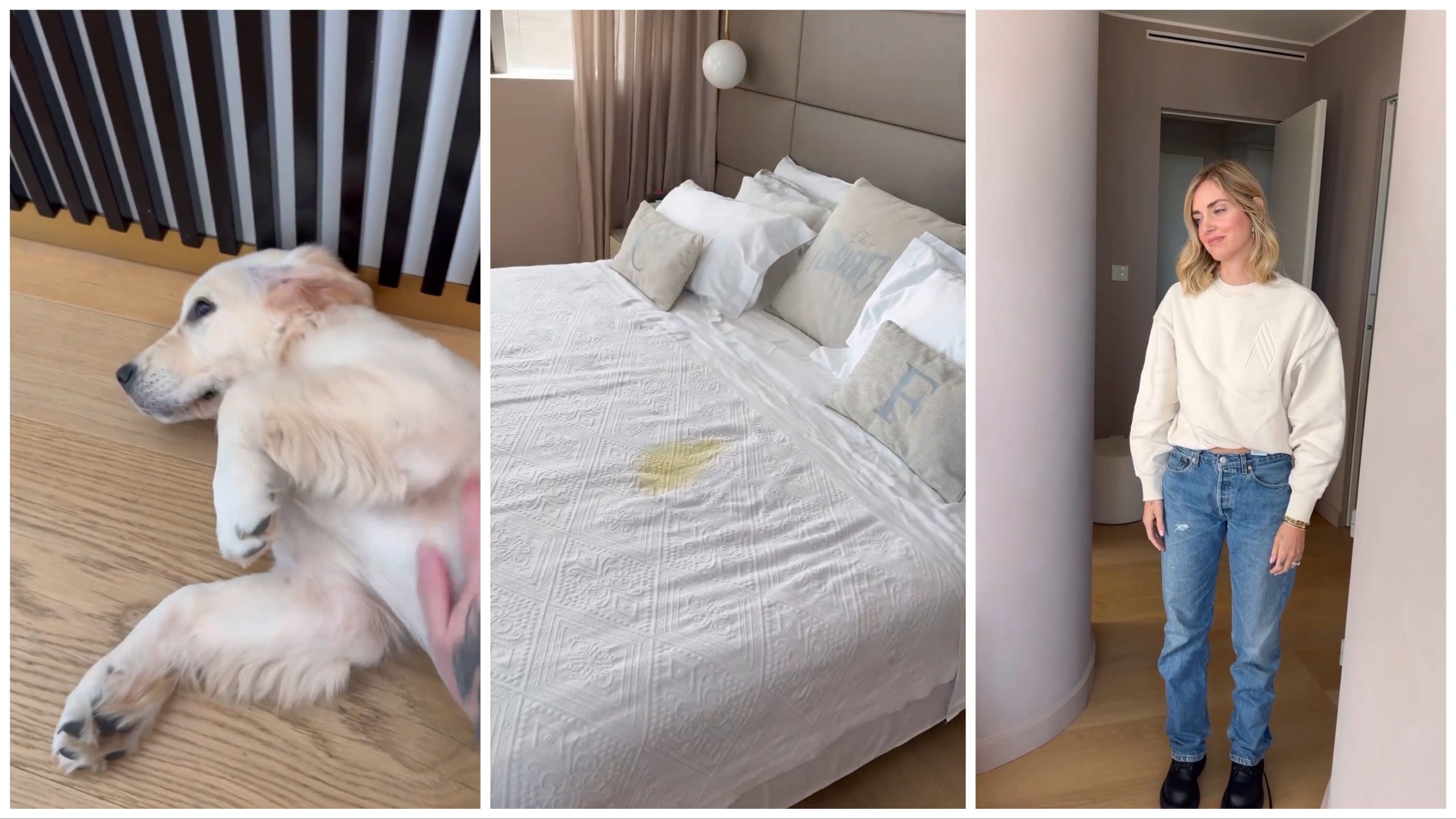 "Drama" en casa de Ferragnez, el perro en la cama deja un recuerdo