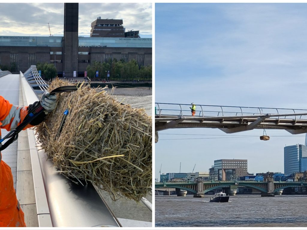 Londres, un misterioso fardo de paja cuelga del Puente del Milenio: aquí está la explicación