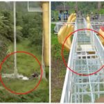 Ponte di vetro turistico esplode: donna precipita e muore