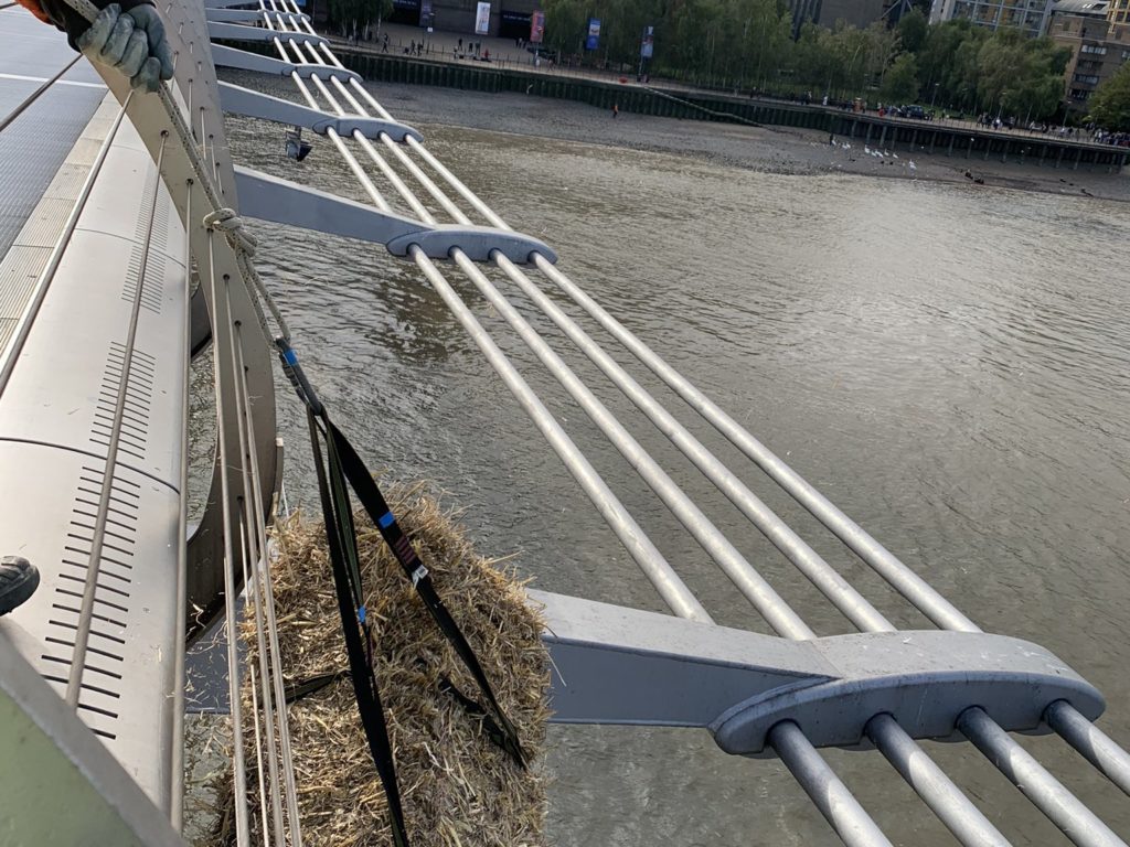 Londres, un misterioso fardo de paja cuelga del Puente del Milenio: aquí está la explicación