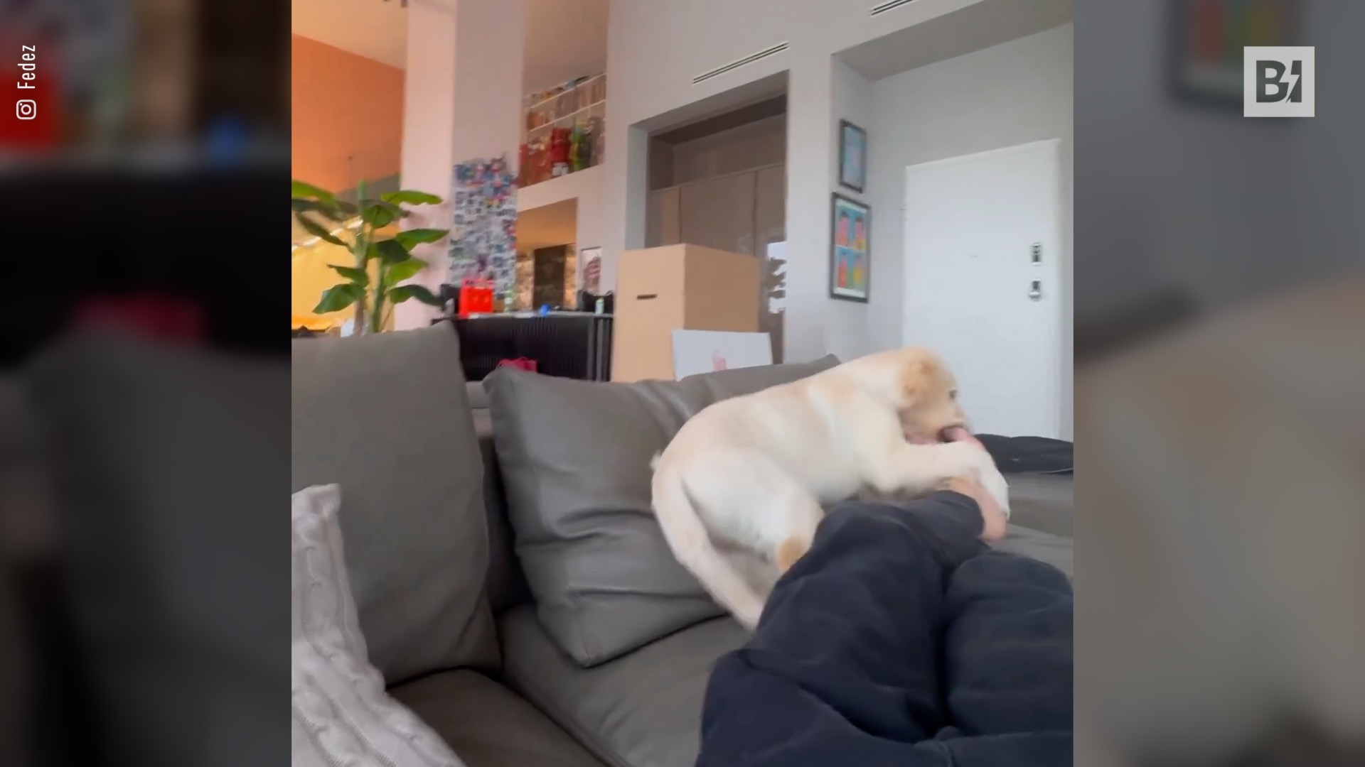 La obsesión de Paloma y Fedez por los pies