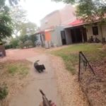 attacco di Hamas registrato con le GoPro: nemmeno i cani sono risparmiati