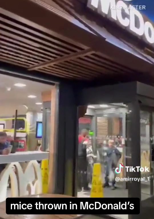 Los propalestinos liberan decenas de ratas vivas en un McDonald's: "Es sólo la primera"