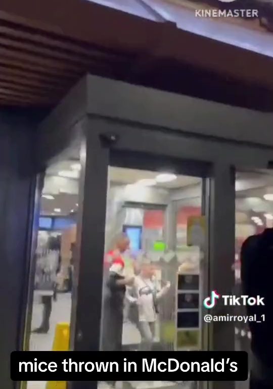 Los propalestinos liberan decenas de ratas vivas en un McDonald's: "Es sólo la primera"