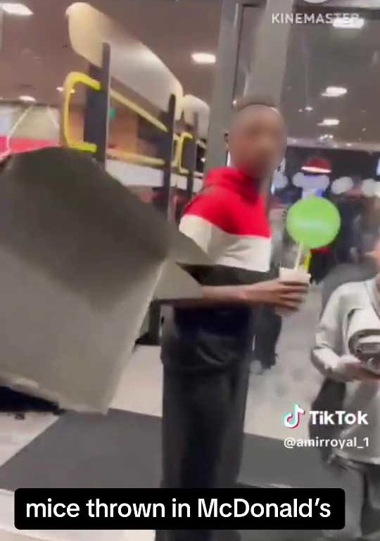 Los propalestinos liberan decenas de ratas vivas en un McDonald's: "Es sólo la primera"