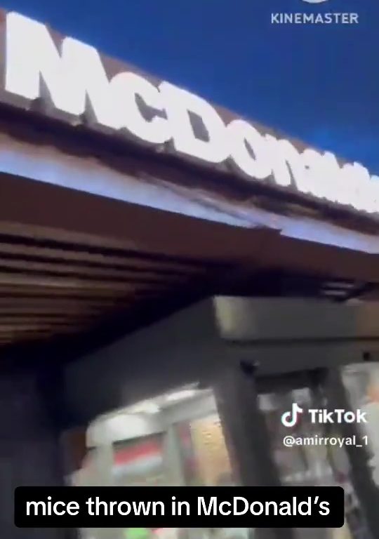 Los propalestinos liberan decenas de ratas vivas en un McDonald's: "Es sólo la primera"