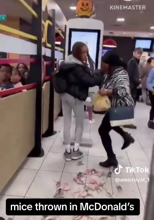 Los propalestinos liberan decenas de ratas vivas en un McDonald's: "Es sólo la primera"