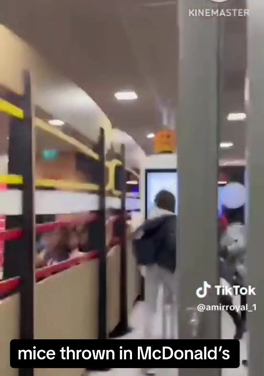 Los propalestinos liberan decenas de ratas vivas en un McDonald's: "Es sólo la primera"