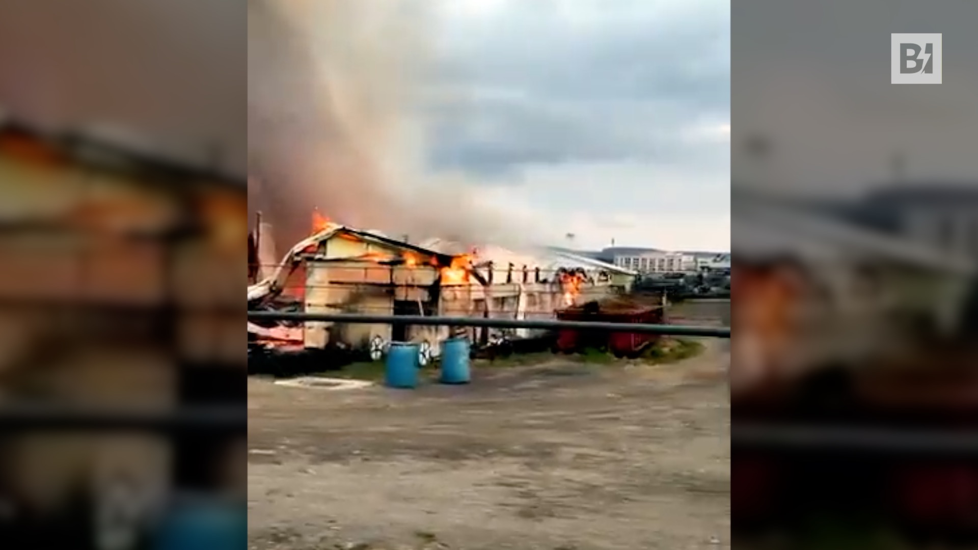 Nueva York, treinta caballos de carreras muertos en…