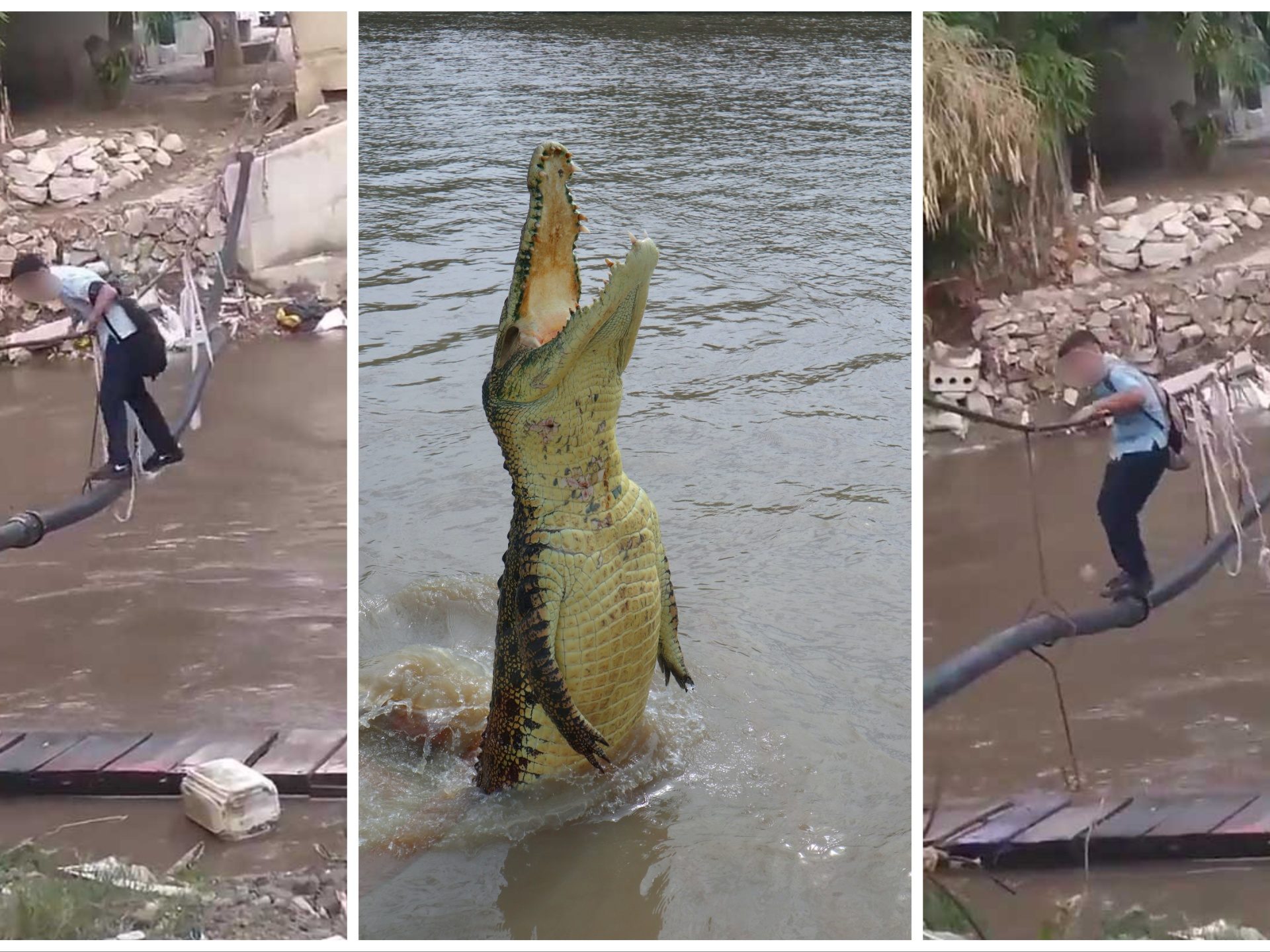 Niños haciendo equilibrios sobre una cuerda para cruzar un río lleno de cocodrilos e ir al colegio