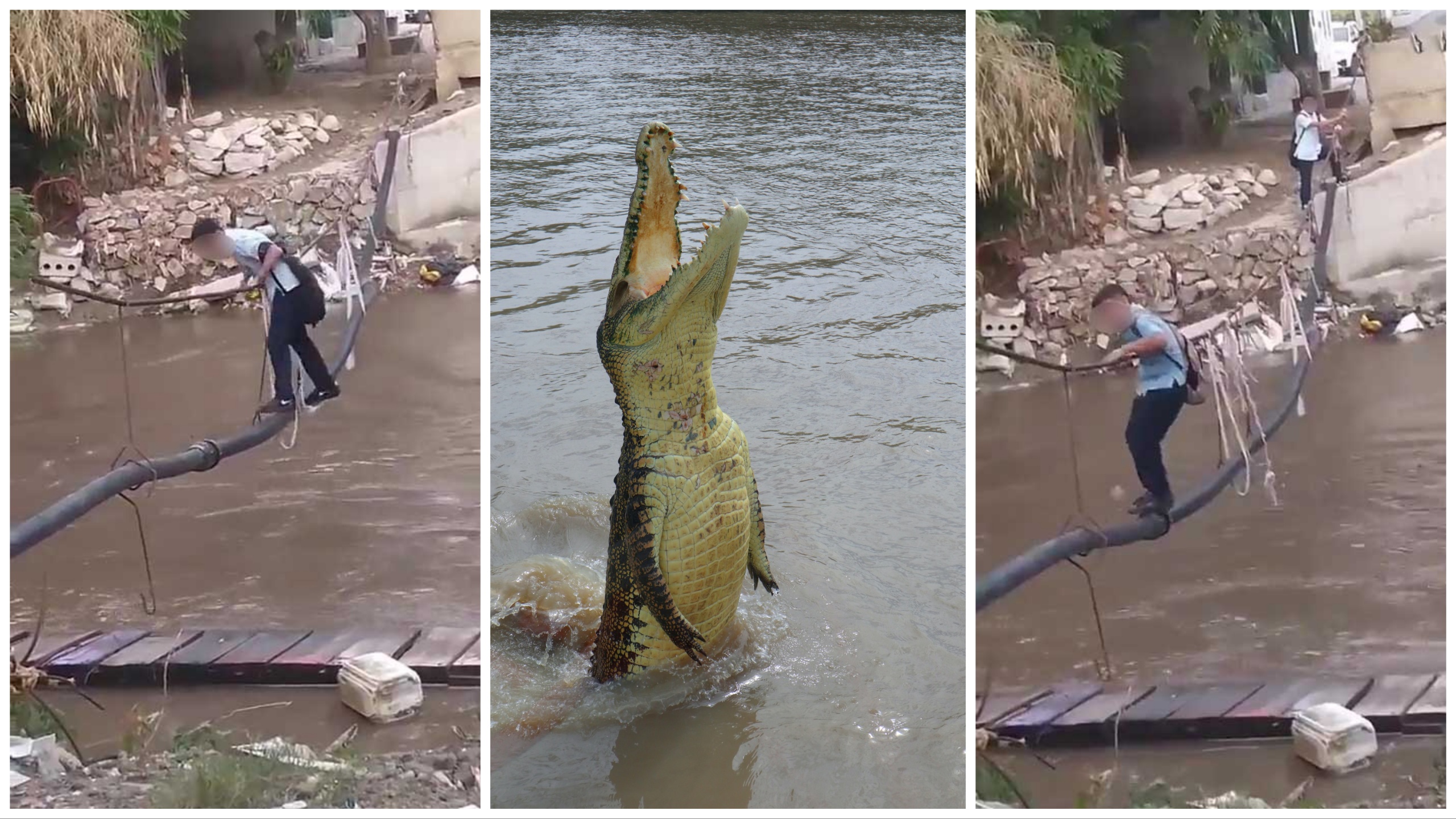 Niños haciendo equilibrios sobre una cuerda para cruzar un río lleno de cocodrilos e ir al colegio