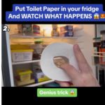 Carta igienica nel frigo, il trucco virale che fa impazzire i social
