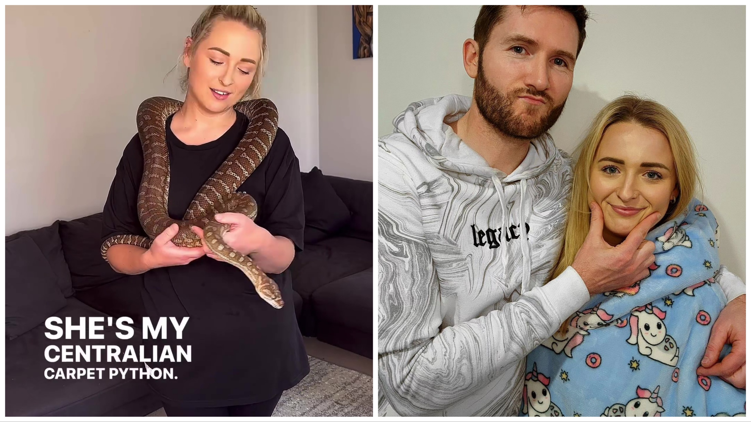 Python muerde el pene en una película para adultos: la impactante historia