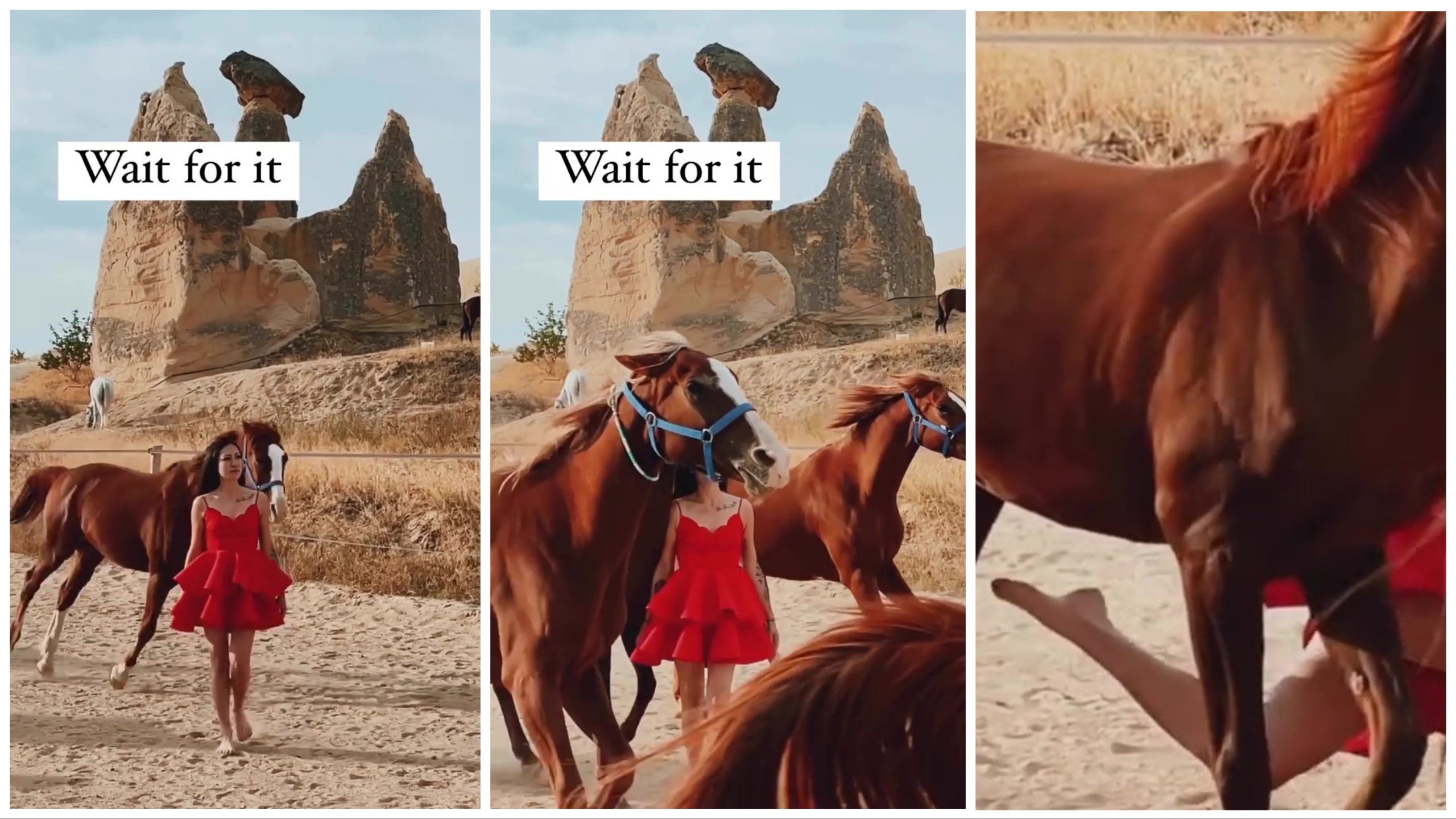 Aspirante a influencer arriesga su vida al ser atropellado por una manada de caballos por un video viral