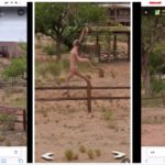 Il mostro dello Utah ripreso su Google Street View: poi salta fuori la verità