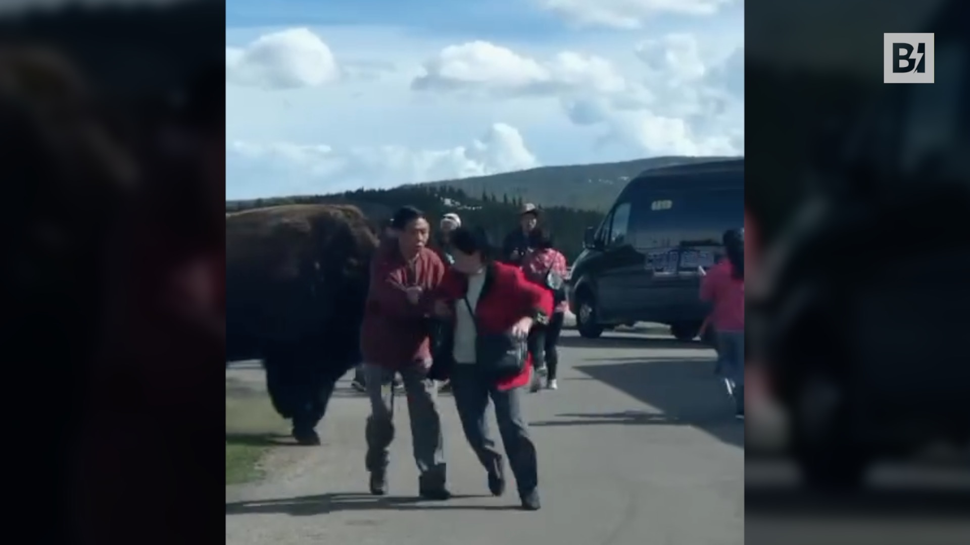 Yellowstone, la foto con el bisonte corre el riesgo…