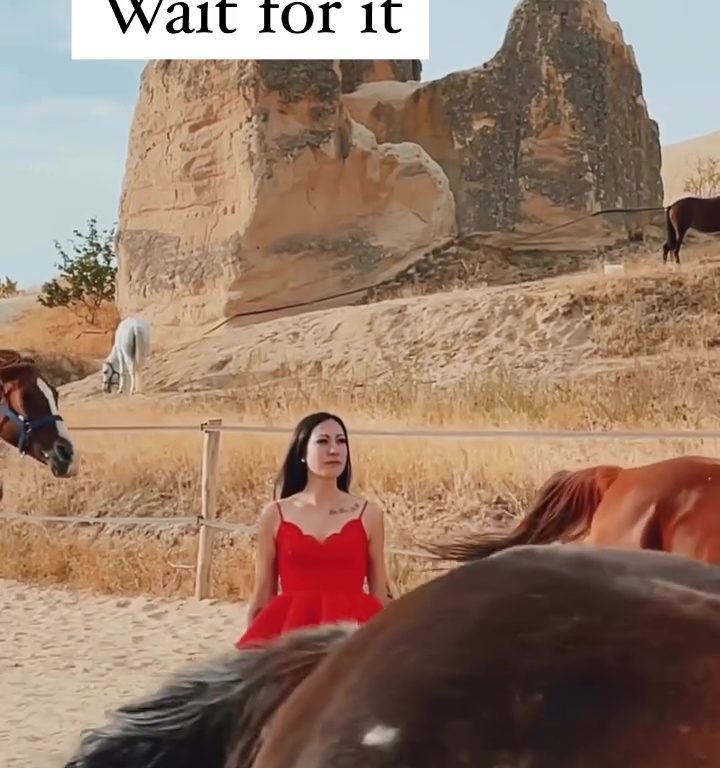 Aspirante a influencer arriesga su vida al ser atropellado por una manada de caballos por un video viral