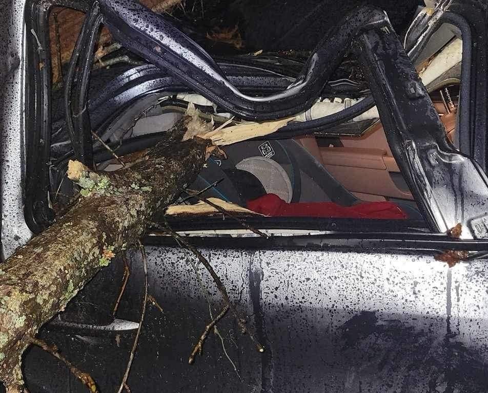 Bebé recién nacido absorbido por un tornado y encontrado vivo en el árbol cerca de la casa