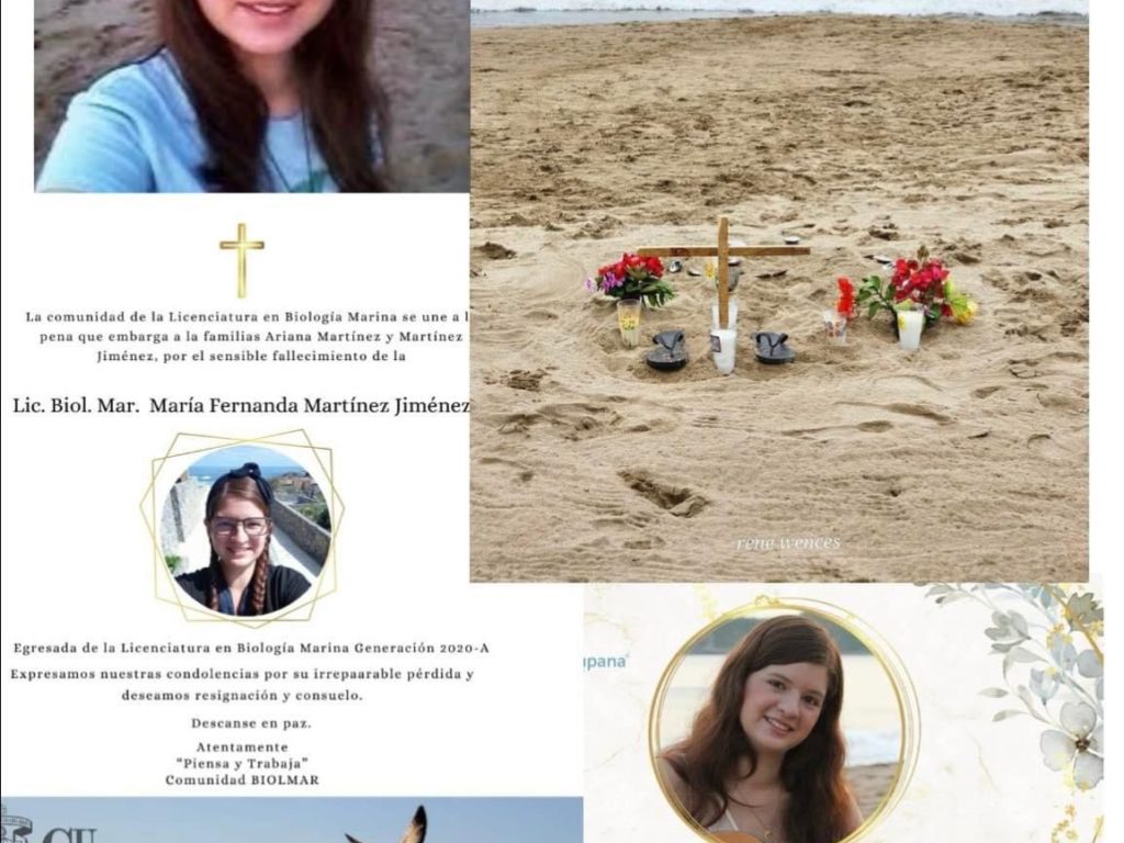 Madre es mutilada por un tiburón para salvar a su hija de 5 años: terror en la playa