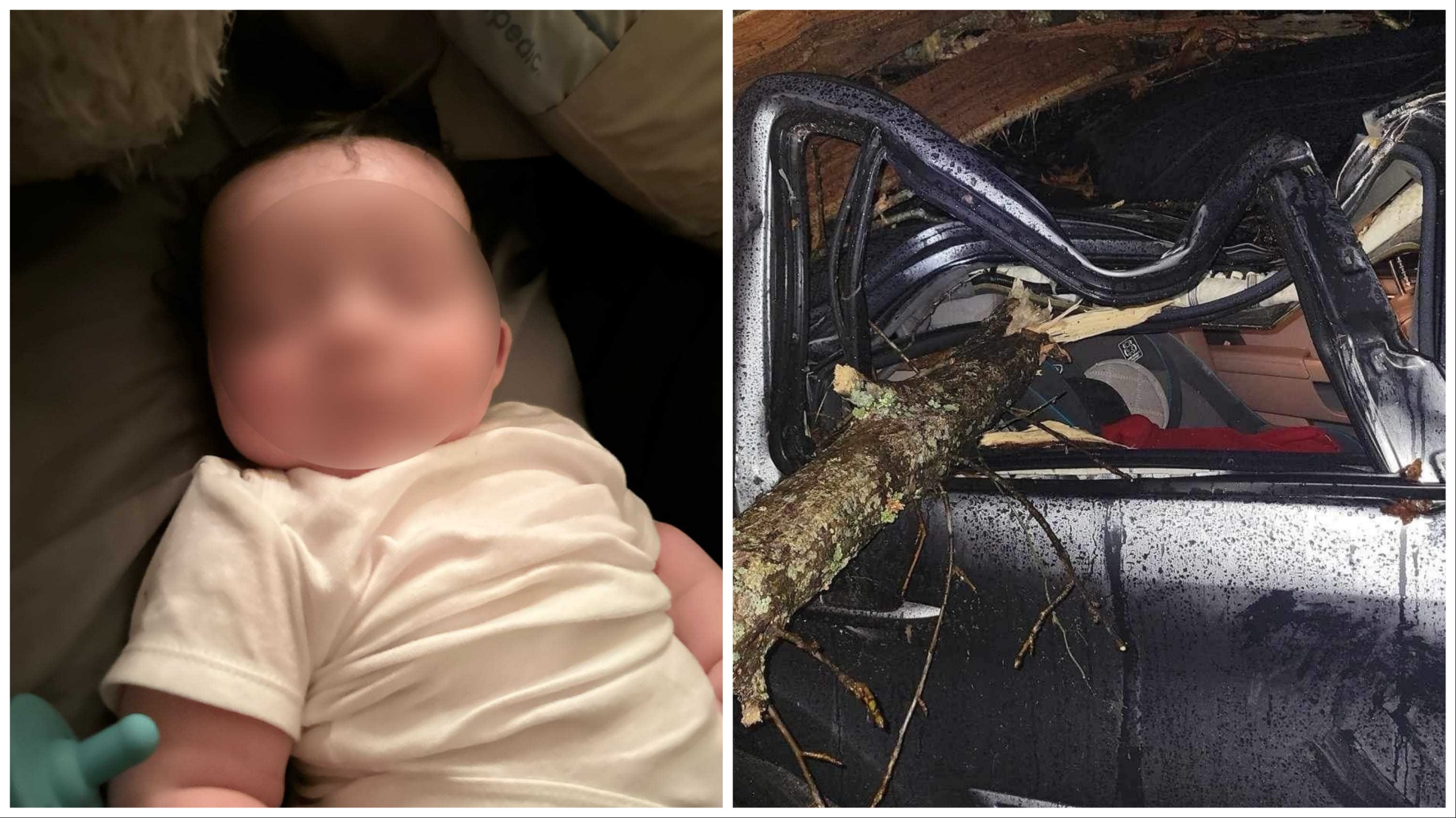 Neonato risucchiato da un tornado, trovato vivo sull'albero vicino casa
