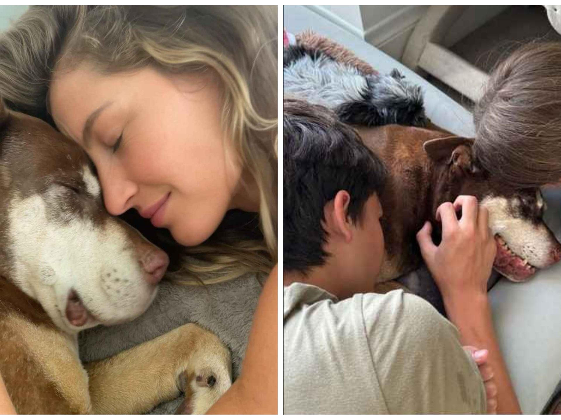 Tom Brady y Gisele Bündchen lloran juntos la muerte de su perro