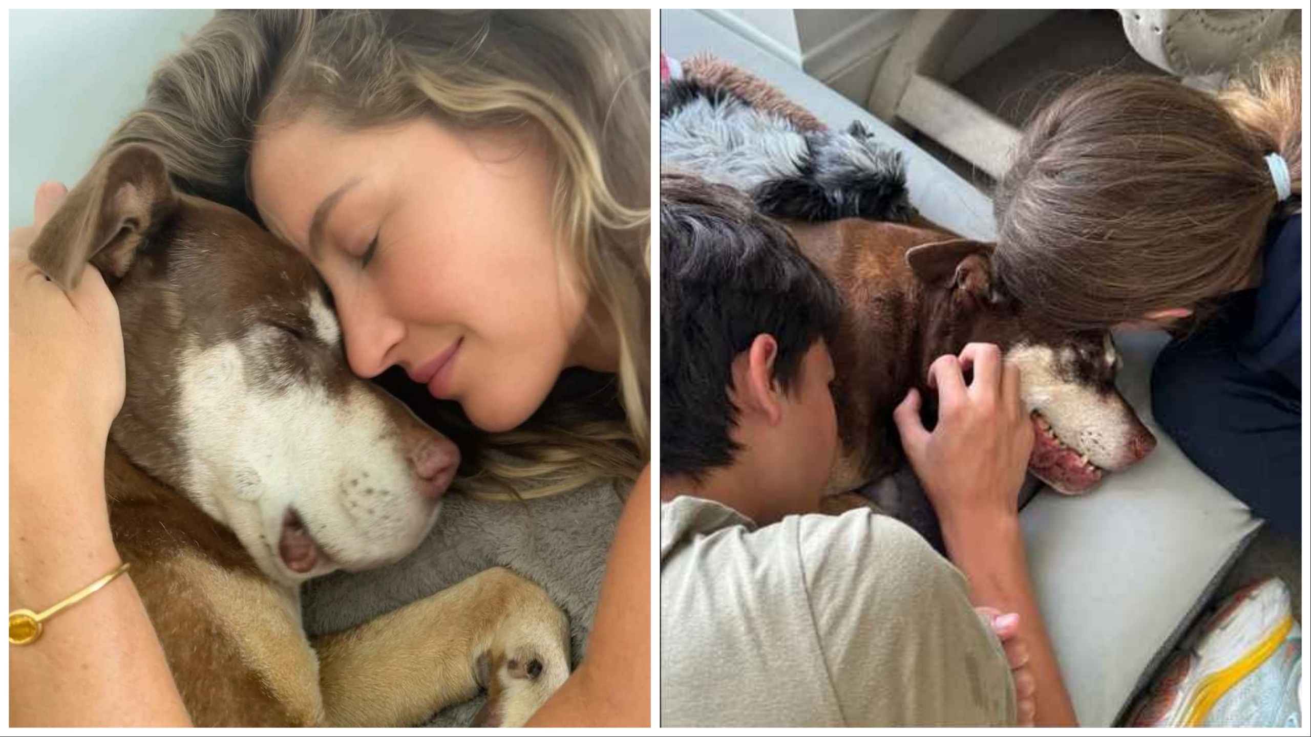 Tom Brady e Gisele Bündchen piangono insieme la morte del loro cane