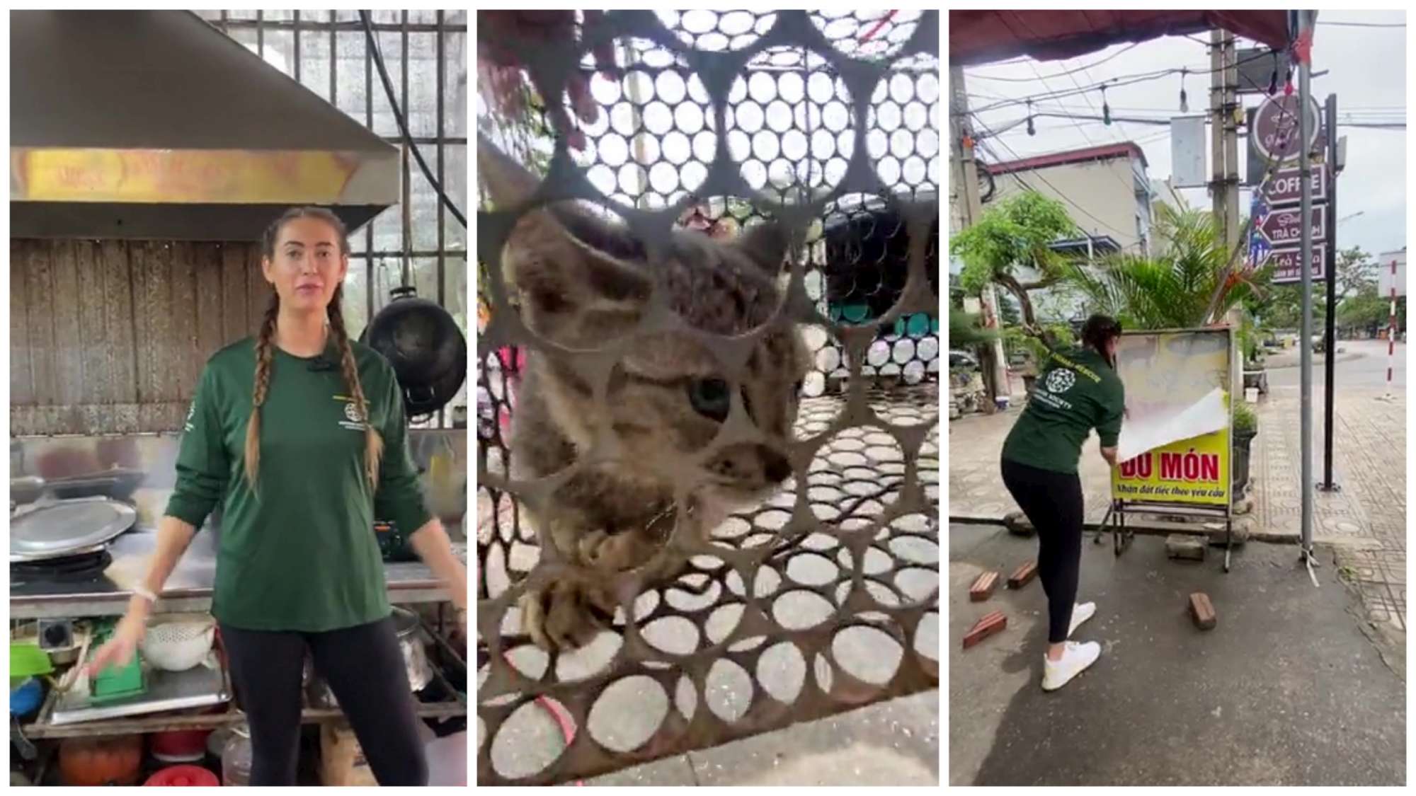 Activistas por los derechos de los animales cierran un restaurante que servía sopa de gato