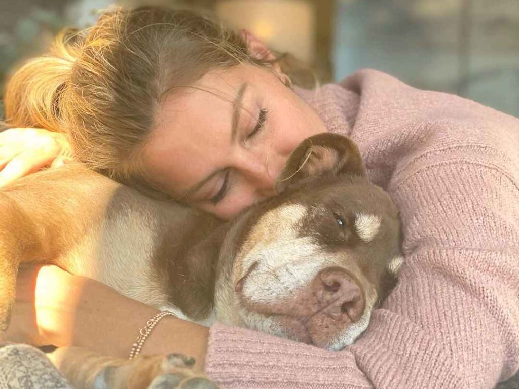 Tom Brady y Gisele Bündchen lloran juntos la muerte de su perro