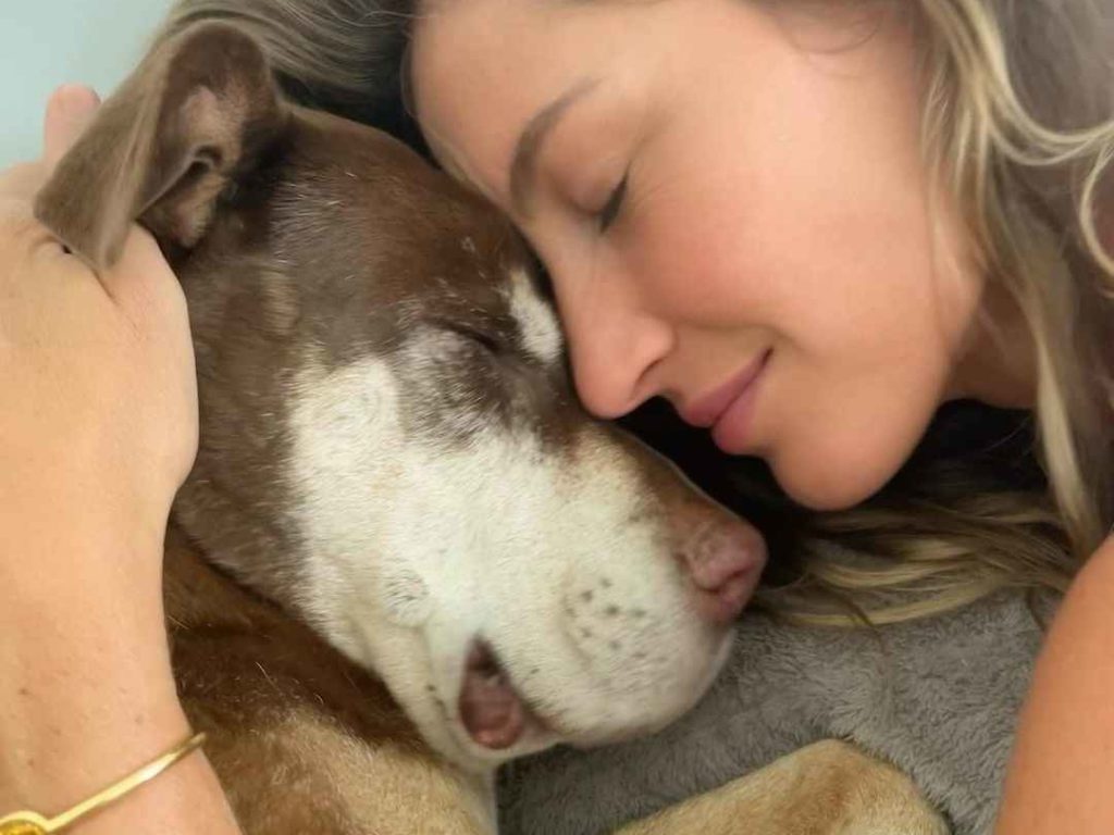 Tom Brady y Gisele Bündchen lloran juntos la muerte de su perro