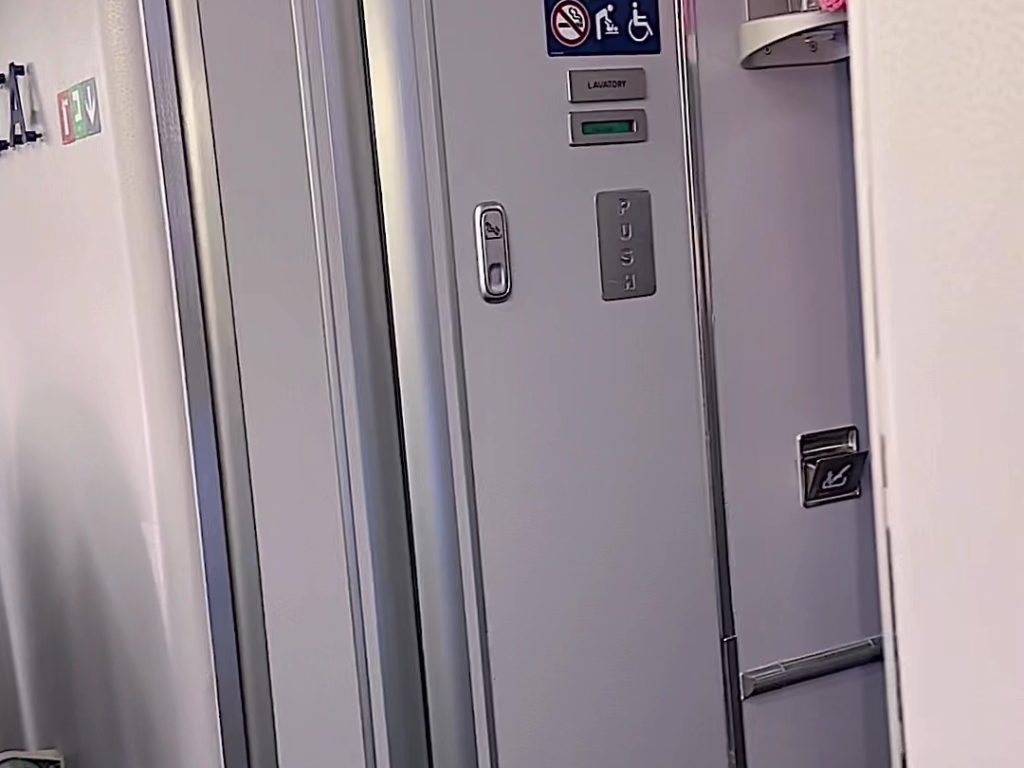 TikToker kocht Knoblauchgarnelen in der Flugzeugtoilette: das verrückte Video