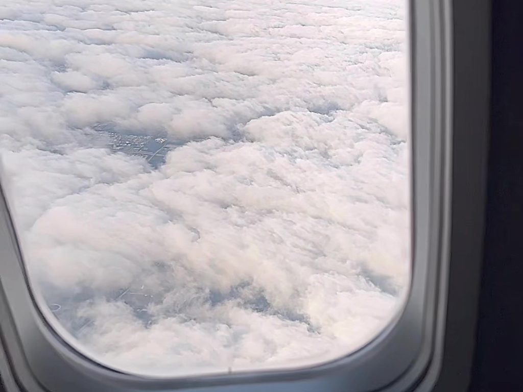 TikToker cocina camarones al ajillo en el baño del avión: el video loco