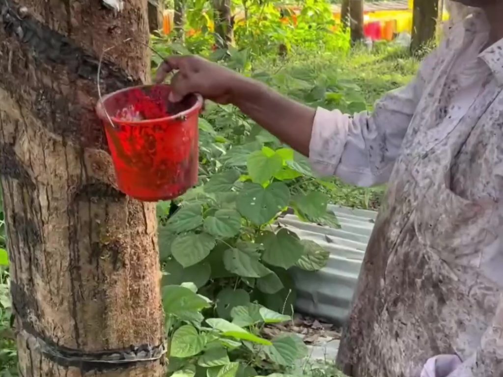 Wie werden Gummibänder hergestellt? Das Produktionsvideo geht viral