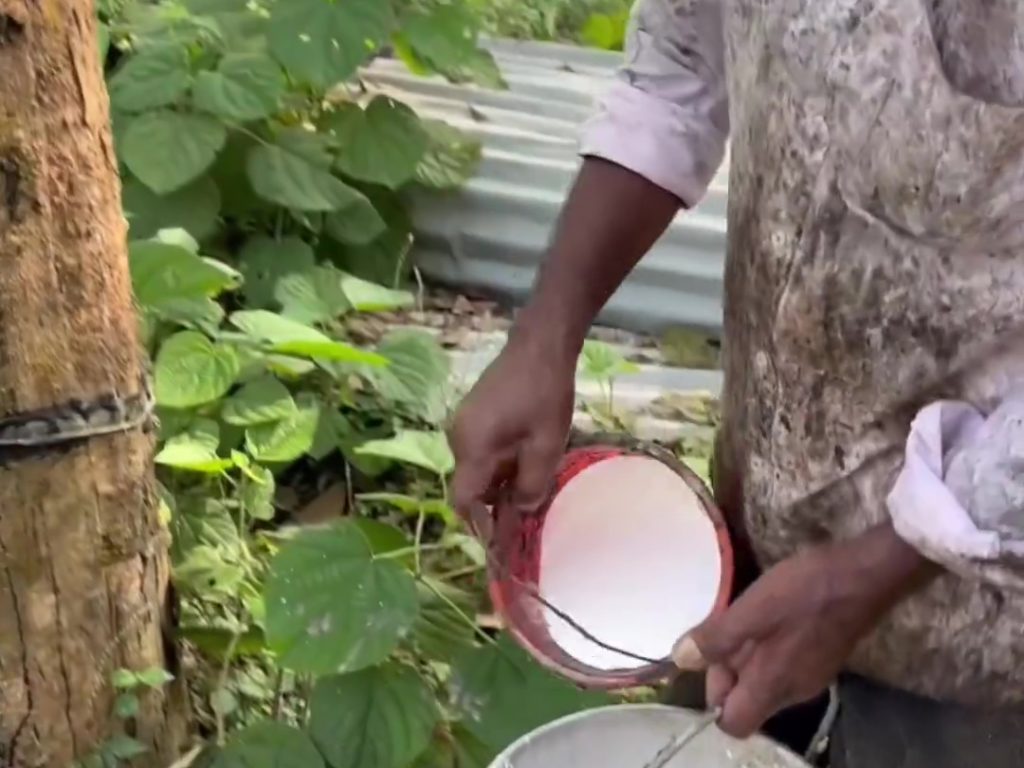 Wie werden Gummibänder hergestellt? Das Produktionsvideo geht viral